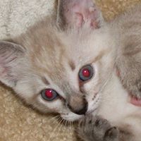 Danny Wells Photo 17 Danny Wells Photo 17