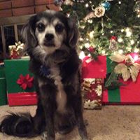 Barbara Flemming Photo 8