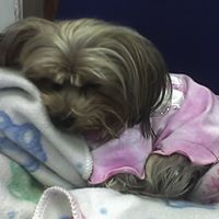 Phyllis George Photo 4