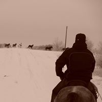 Shane Crowe Photo 17