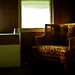 Stephen Greenfield Photo 11