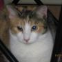 Marlene Snyder Photo 20