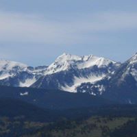 Sherry Jackson Photo 37