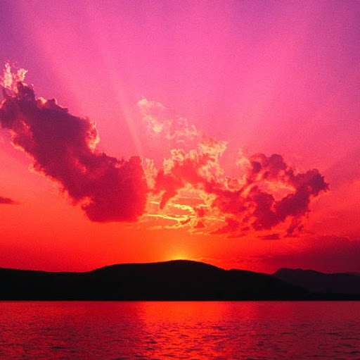 Nicholas Ellis Photo 38