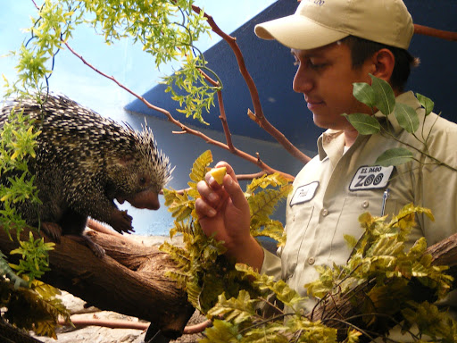 Paul Trujillo Photo 18