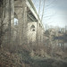 Timothy Paul Photo 8