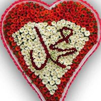 Imtiaz Anwar Photo 13