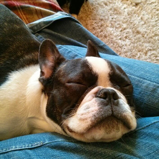 Paula Ferguson Photo 40