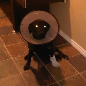 Tyler Norton Photo 3