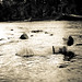 Karen Mattson Photo 19