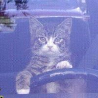 Danny Barnett Photo 21