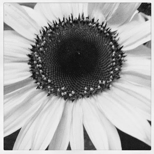 Kristine Weiss Photo 3