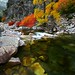 Steven Rivers Photo 14