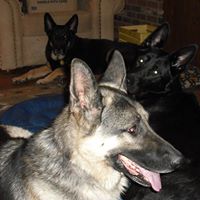 Kathie Krueger Photo 7