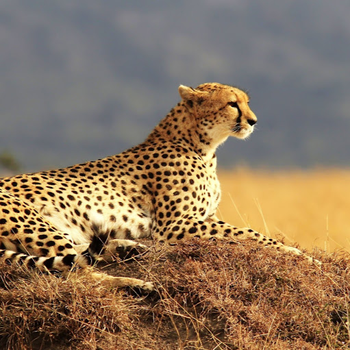 Ruben Solis Photo 14