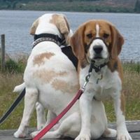 Helen Pickering Photo 9