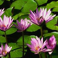 Debra Lacey Photo 18