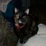 Carl Decker Photo 6