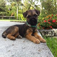 Jennifer Huber Photo 14