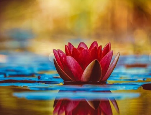 Cassandra Davis Photo 18