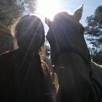 Julie Blodgett Photo 10