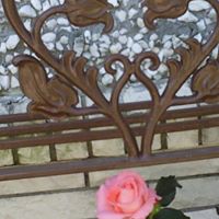 Trudy Brown Photo 20