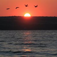 Nancy Beebe Photo 24