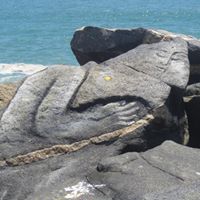 Catherine Casserly Photo 5