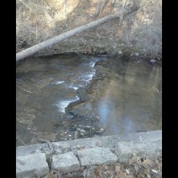 Craig Hebert Photo 21