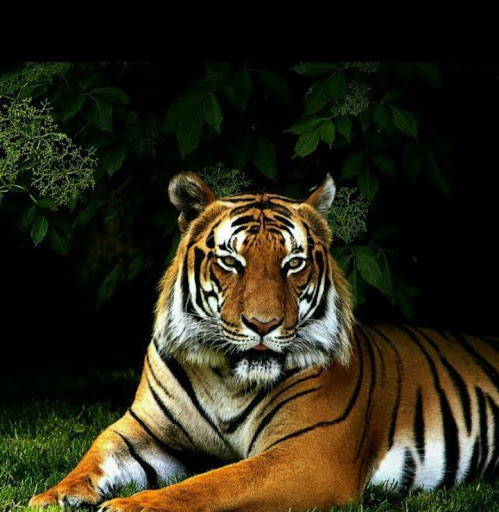 Peter Freund Photo 34