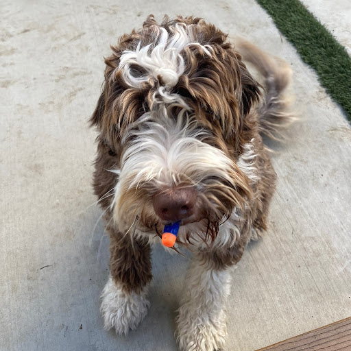 Sean Mcmullan Photo 3