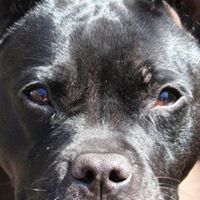 Ruby Needham Photo 1