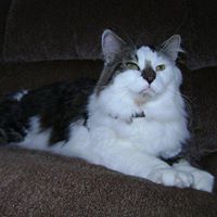 Nancy Douglass Photo 12