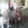 Gary Krause Photo 3