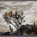 Heather Flood Photo 32
