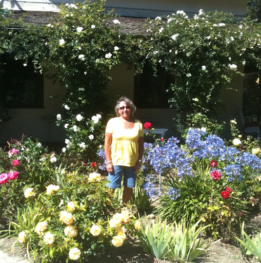 Carol Cook Photo 28