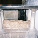 Thomas Strickland Photo 35