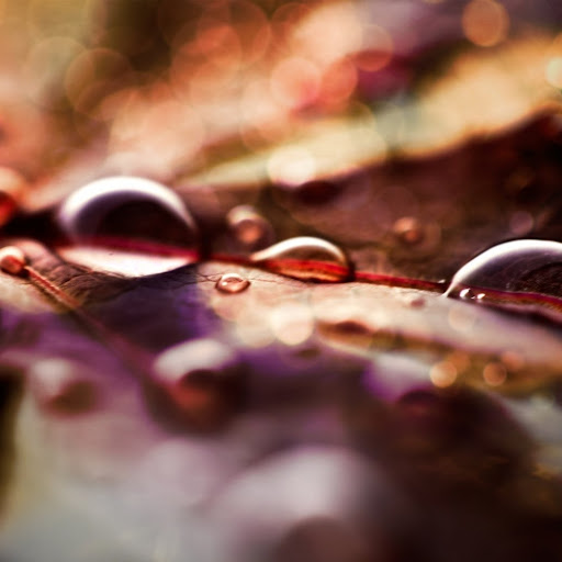 Angela Curry Photo 22