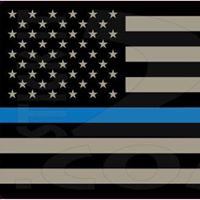 Michael Dimatteo Photo 36