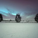 Richard Fraser Photo 19