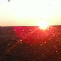 Gloria Jacobs Photo 13