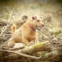 Laura Mayer Photo 19