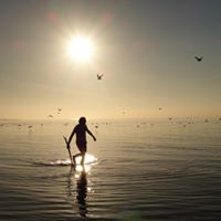 Derek Rotter Photo 2