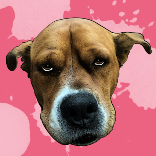 Patrick Reagan Photo 25