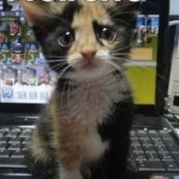 Matthew Mcdowell Photo 11