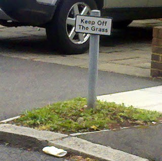 Steve Mccarthy Photo 10