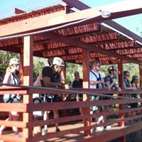 Michele Giles Photo 7