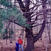 Janice Lewis Photo 37