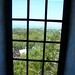 Franz Gayle Photo 6