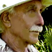Robert Wolff Photo 29